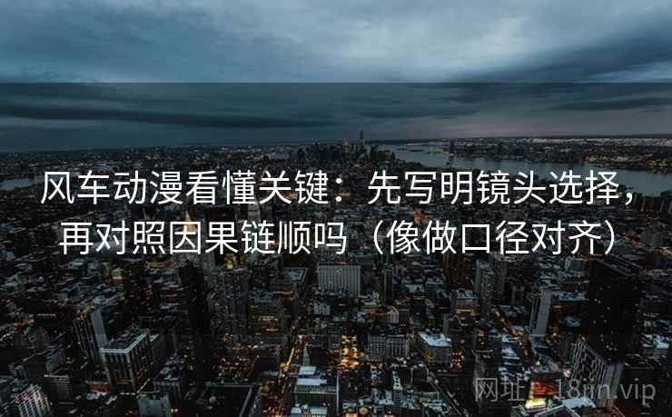风车动漫看懂关键：先写明镜头选择，再对照因果链顺吗（像做口径对齐）  第2张