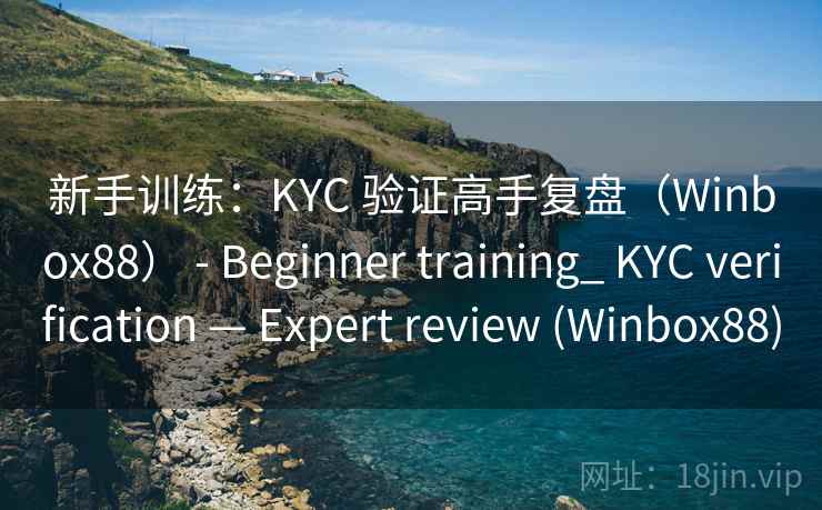 新手训练：KYC 验证高手复盘（Winbox88） - Beginner training_ KYC verification — Expert review (Winbox88)  第2张
