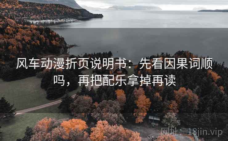 风车动漫折页说明书：先看因果词顺吗，再把配乐拿掉再读